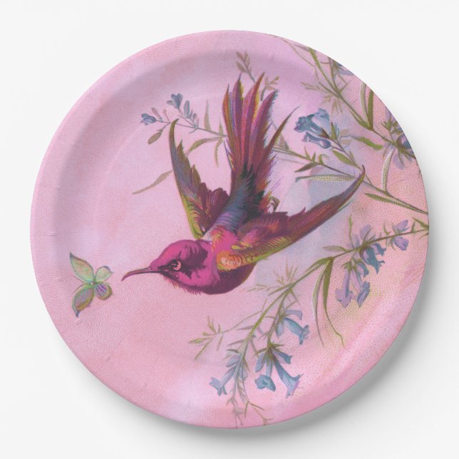 Rosy Red Hummingbird Pappteller (Vorderseite)
