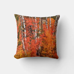 Rot-Ahorn (Acer Rubra) und Espen Kissen
