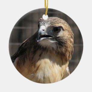 Rot angebundene Falke-/Bussard-Verzierung Keramikornament