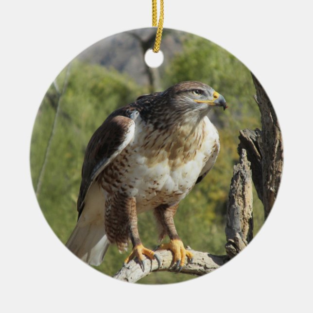 Rot angebundene Falke-Verzierung Keramik Ornament (Vorne)