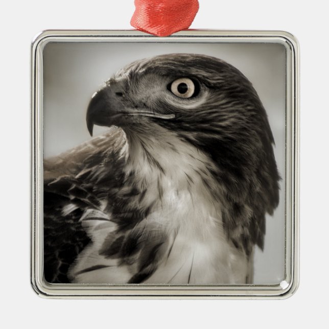 Rot-angebundene Falke-Verzierung Silbernes Ornament (Vorne)