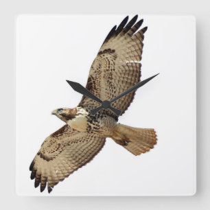 Rot angebundene Falke-Vogel-Tier-Tier-Wanduhr Quadratische Wanduhr