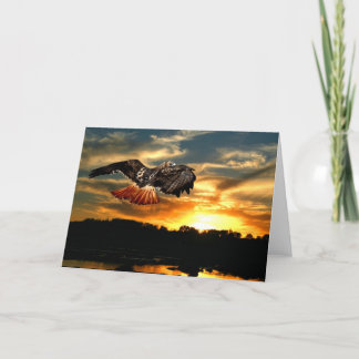 Rot angebundener Falke am Sonnenuntergang Karte