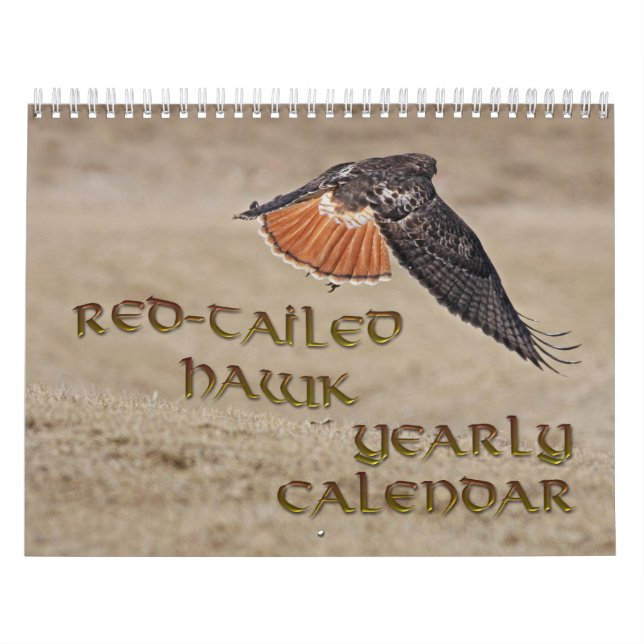 Rot-angebundener Falke-jährlicher Kalender (Titelbild)