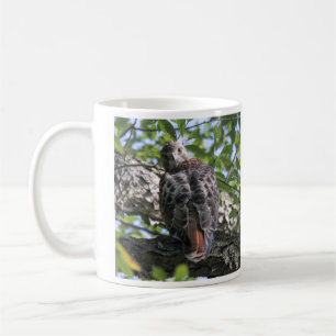 Rot-angebundener Falke Kaffeetasse