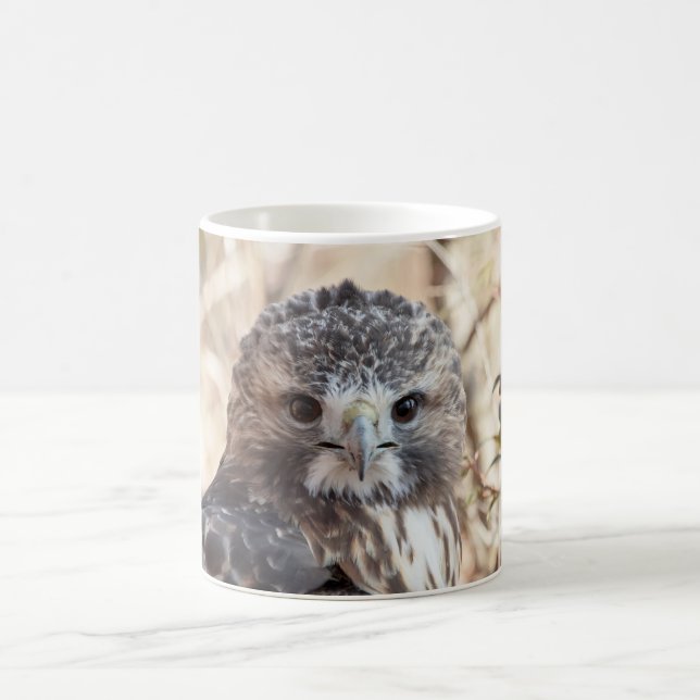 Rot angebundener Falke Kaffeetasse (Mittel)