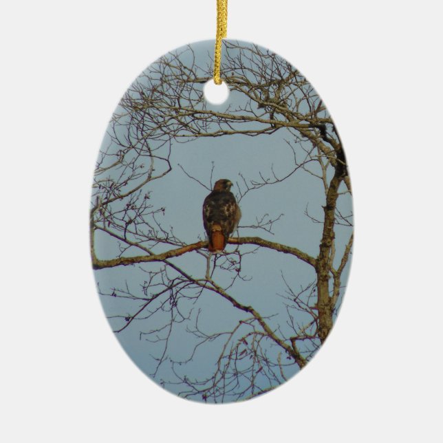 Rot angebundener Falke Keramikornament (Vorne)