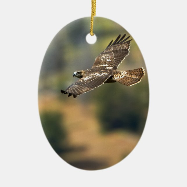 Rot-angebundener Falke Keramikornament (Vorne)