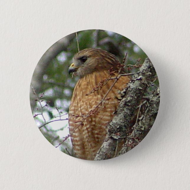 Rot angebundener Falke-Knopf Button (Vorderseite)