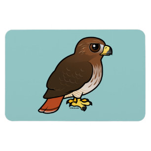 Rot-angebundener Falke Magnet