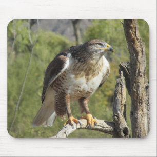 Rot angebundener Falke Mousepad