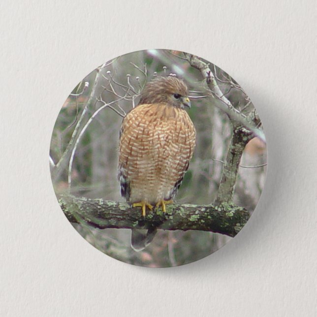 Rot angebundener Falke-Vogel-Knopf Button (Vorderseite)