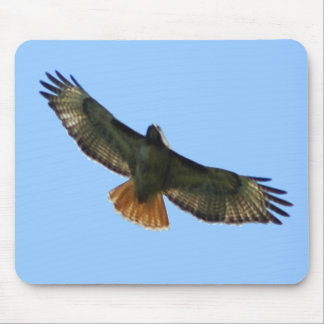 ROT ANGEBUNDENES FALKE-FLIEGEN MOUSEPAD