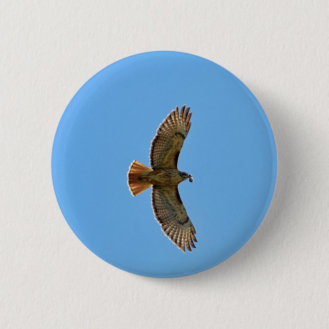 Rot-Angebundenes Falke-Foto Button (Vorderseite)