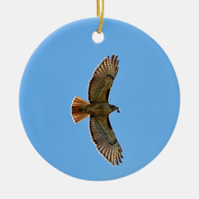 Rot-Angebundenes Falke-Foto Keramik Ornament (Vorne)