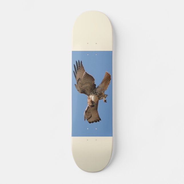 Rot-Angebundenes Falke-Skateboard Skateboard (Vorderseite)