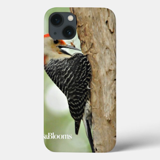 Rot-Aufgeblähter Specht Case-Mate iPhone Hülle (Rückseite)