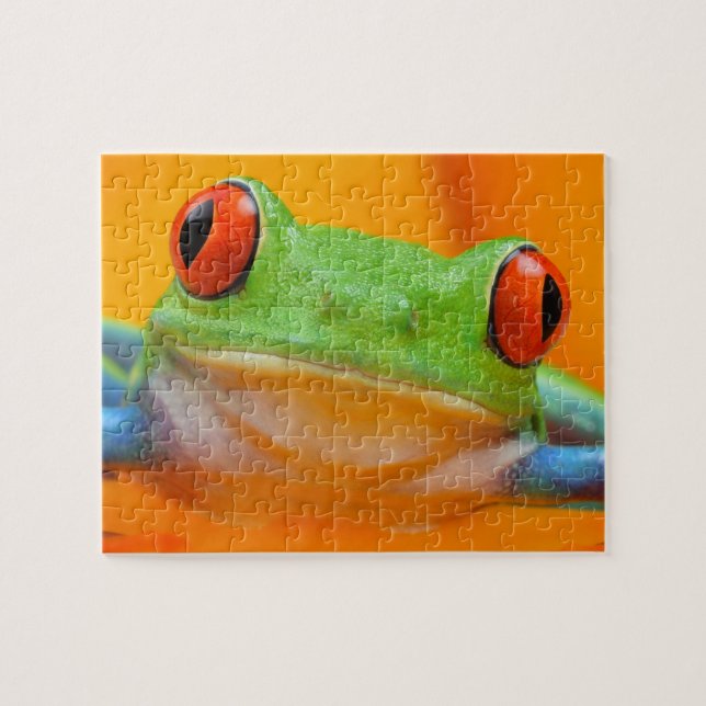 Rot-Auge Baum-Frosch-Puzzlespiel (Horizontal)