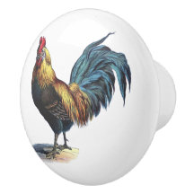 Rot-Blau-Gelb-Rooster in Weiß