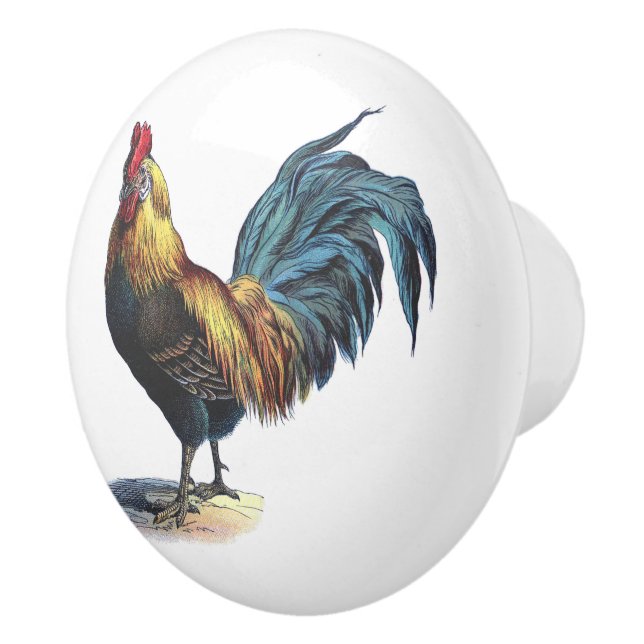 Rot-Blau-Gelb-Rooster in Weiß Keramikknauf (Rechts)