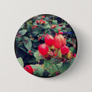 Rot Button