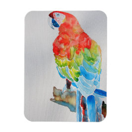 Rot-Gelb-Blau-Papagei-Papagei-Poster Magnet