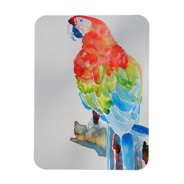 Rot-Gelb-Blau-Papagei-Papagei-Poster Magnet (Vertikal)