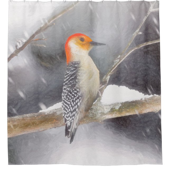 Rot-Gelb Woodpecker Malerei Original Vogelkunst Duschvorhang (Vorderseite)