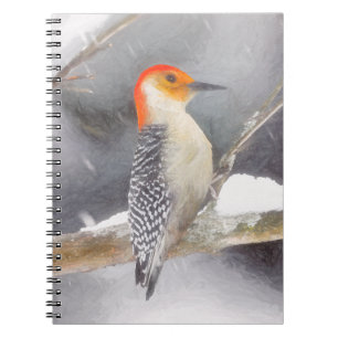 Rot-Gelb Woodpecker Malerei Original Vogelkunst Notizblock