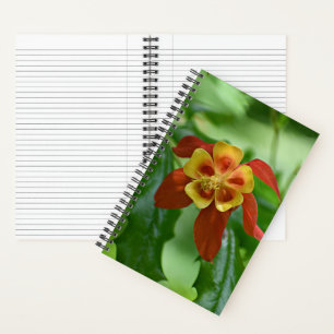 Rot-gelbe zweifarbige Akelei-Blüte Notizbuch