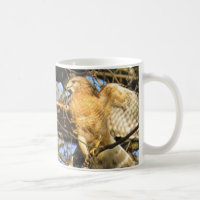 Rot-geschulterte Falke-Kaffee-Tasse