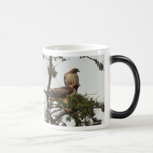 Rot-geschulterte Falke-Tasse Verwandlungstasse