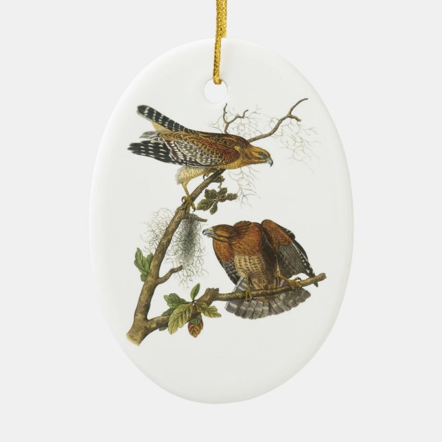 Rot-geschulterter Falke durch Audubon Keramikornament (Vorne)