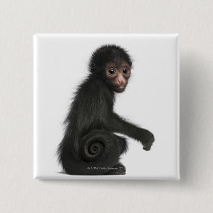 Rot-gesichtiger Spinnen-Affe - Ateles paniscus (3 Button