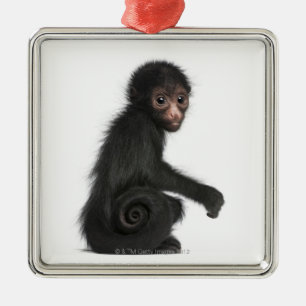 Rot-gesichtiger Spinnen-Affe - Ateles paniscus (3 Ornament Aus Metall