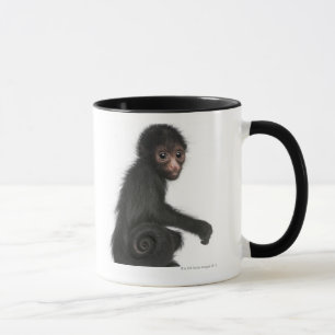 Rot-gesichtiger Spinnen-Affe - Ateles paniscus (3 Tasse