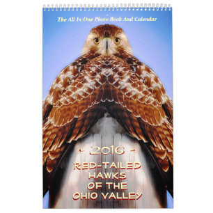 ROT GESTRICHENE HAWKS VON OHIO KALENDER