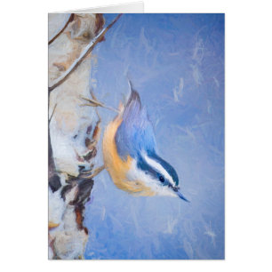 Rot gezapfte Nuthatch Malerei Original Vogelkunst