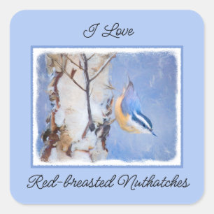 Rot gezapfte Nuthatch Malerei Original Vogelkunst Quadratischer Aufkleber