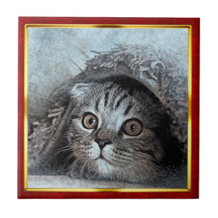 Rot & Gold gerahmter abstrakter Katzenprint Fliese