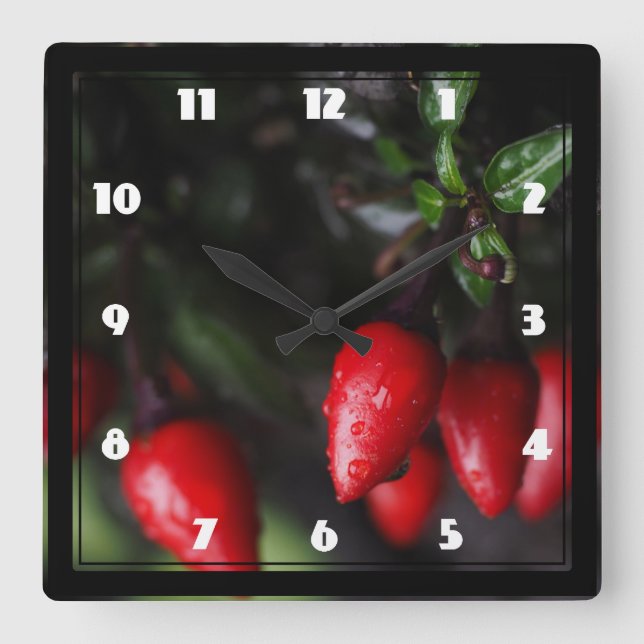 Rot - heiße Gartensalsa-Chili-Pfeffer Quadratische Wanduhr (Vorderseite)
