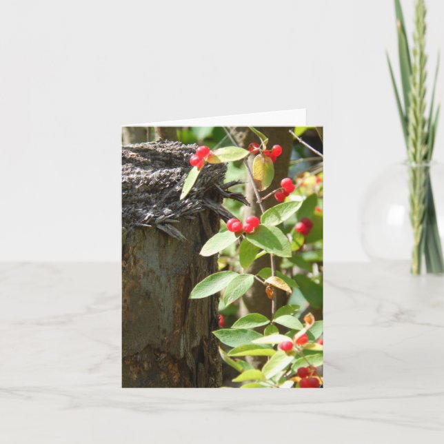 Rot im Wald Karte (Vorderseite)