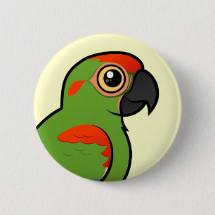 Rot-konfrontierter Macaw Button