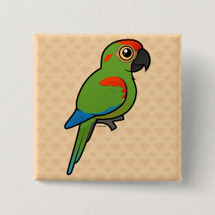 Rot-konfrontierter Macaw Button
