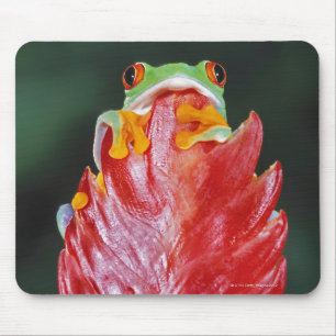 Rot-Mit Augen Baum-Frosch auf Blatt Mousepad