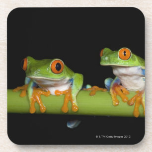 Rot-mit Augen Baum-Frösche (Agalychnis callidryas Getränkeuntersetzer