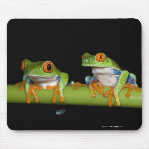 Rot-mit Augen Baum-Frösche (Agalychnis callidryas Mousepad