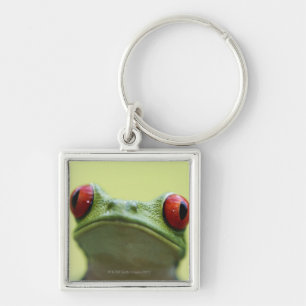 Rot-mit Augen Baumfrosch (Agalychnis callidryas) 2 Schlüsselanhänger