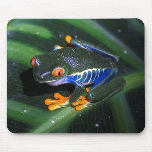 Rot mustert Frosch auf Blatt Mousepad