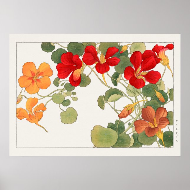 Rot & Orange Nasturtium Blume von Tanigami Konan Poster (Vorne)